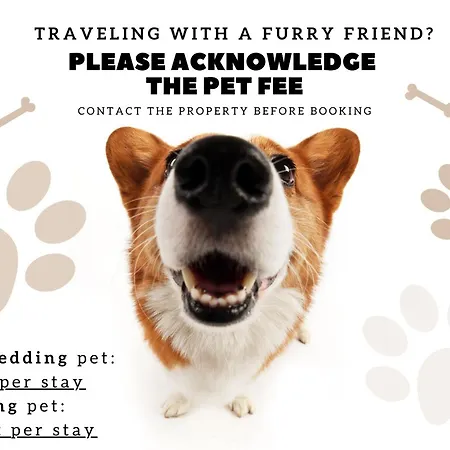 Oasis 82689 Al Lejlighed